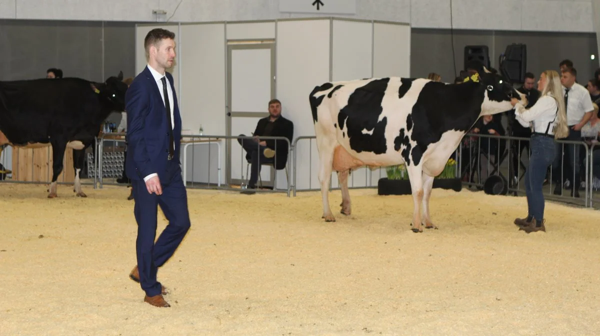 Det var den irske dommer Gary Jones, som bedømte Dansk Holstein og Rød Dansk Holstein.