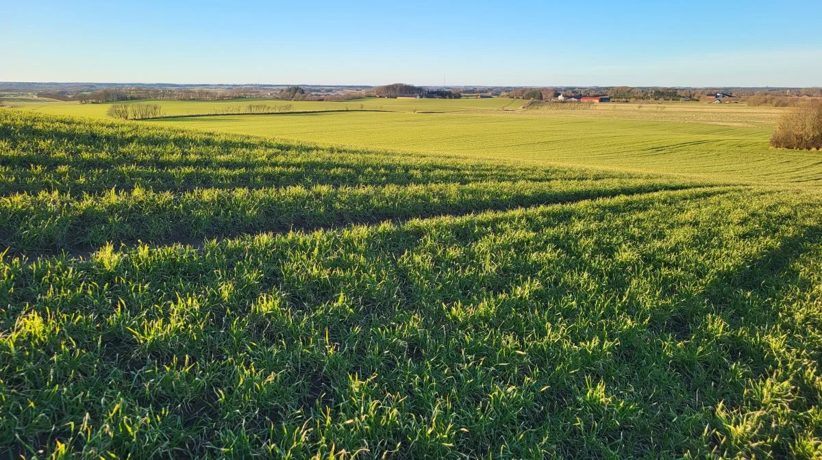 Det er nu man bør have et overblik over gødningsplanen. Foto: Jakob T. Nikolajsen, Fjordland