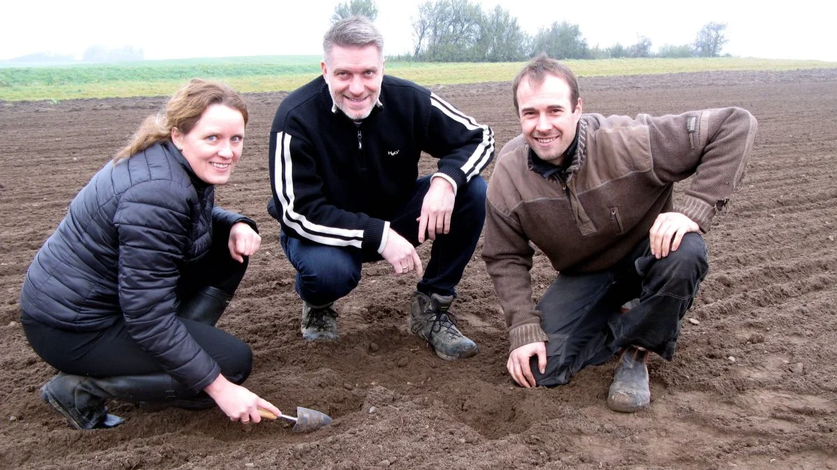 Det er afgørende at have et godt såbed, og i år har der været optimale forhold til at så vårhvede her sent efterår. Fra venstre agronom Vibeke Fabricius, Nordic Seed, planteavlskonsulent Torben Føns og gårdejer Steffen Decker, Vojens.