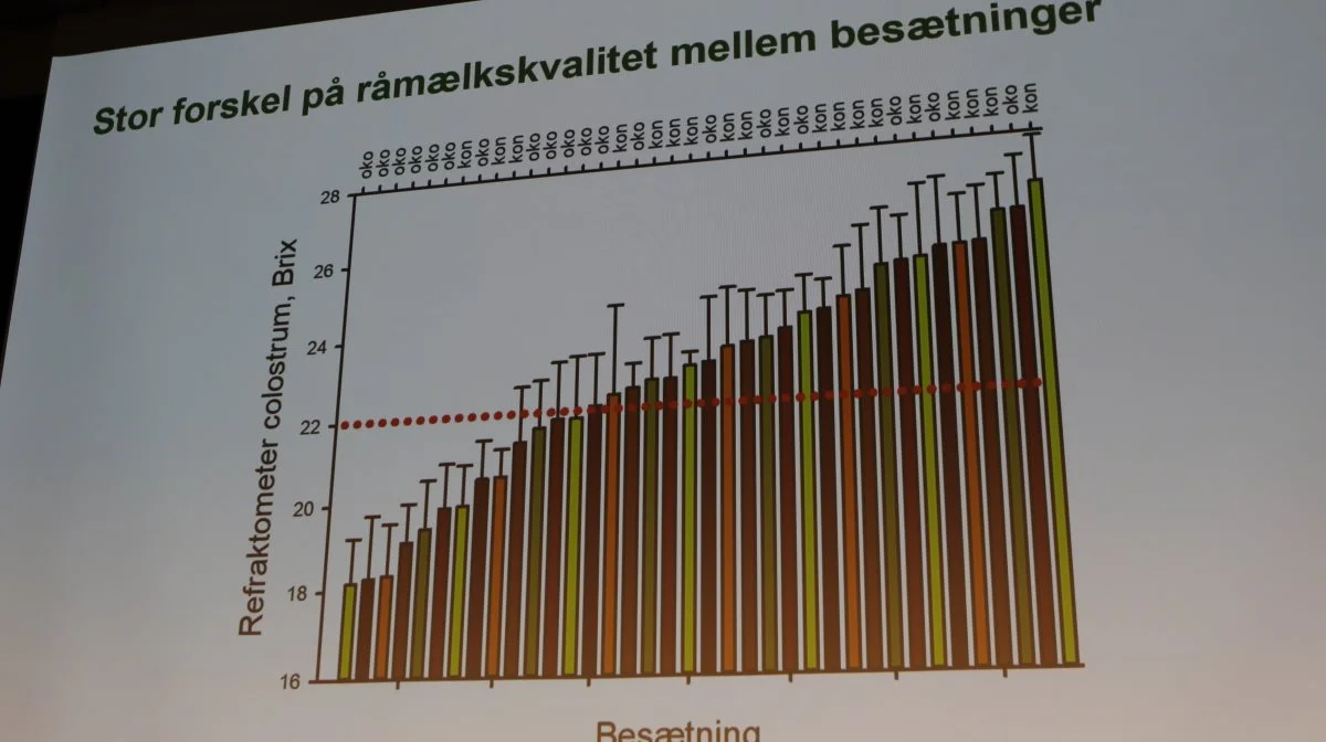 Niels Bastian Kristensen fremlagde på Kvægkongressen resultater, som viste stor variation i råmælkskvalitet mellem besætninger.