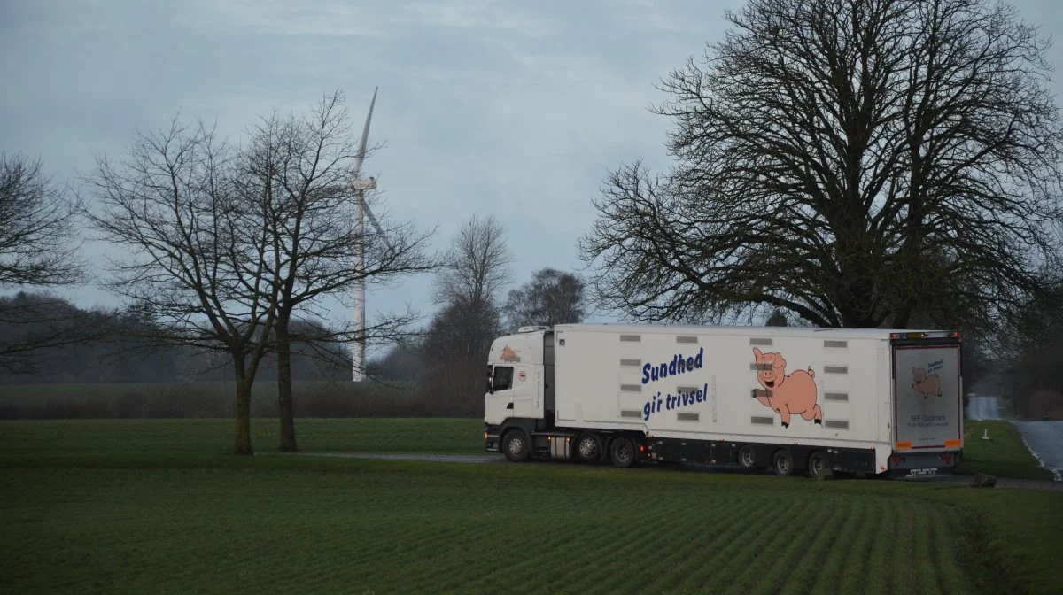 Som EU-reglerne er i dag, er ansvaret for vurderingen af dyrs transportegnethed ligeligt fordelt mellem landmand, chauffør og transportvirksomhed. Det bør alene være landmandens ansvar, mener landmændene og chaufførerne i branchen.