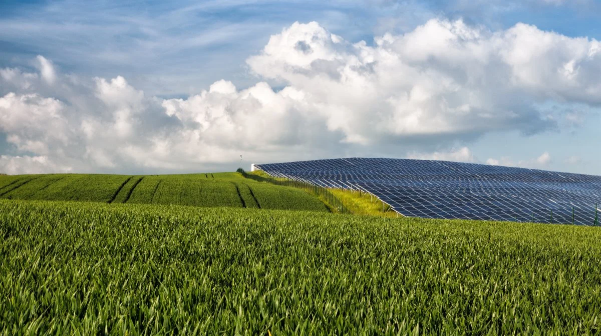 Projekter med vedvarende energi er i dag stærkt konkurrencedygtige på pris i forhold til jordbrug med fødevareproduktion. Foto: Colourbox