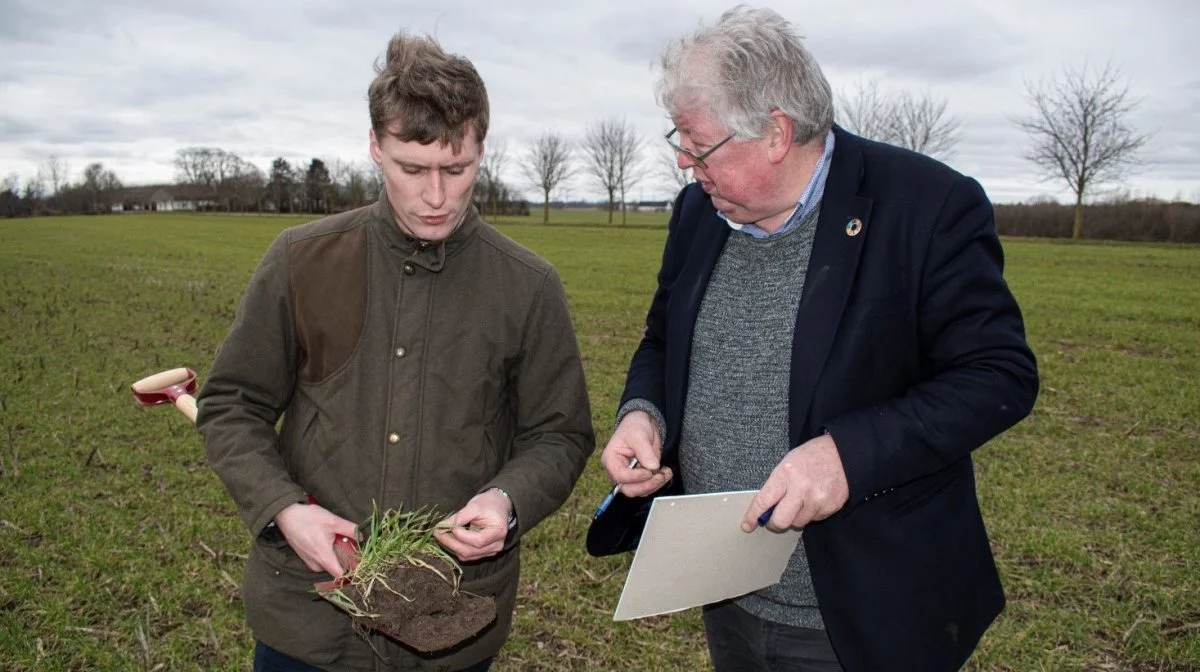 Første vinder af Klima- og Bæredygtighedsprisen, Frederik V. Larsen, og landbrugsdirektør Poul Erik Jørgensen, Nykredit, tjekker, hvordan hveden har klaret sig gennem vinteren. Foto: Ulrik Larsen.