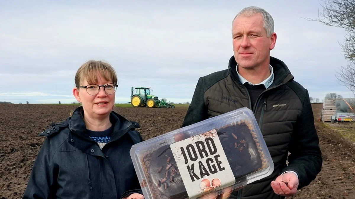 Fra jord til kagebord: Nyt projekt har allerede vist lovende resultater. Fotos: SAGRO
