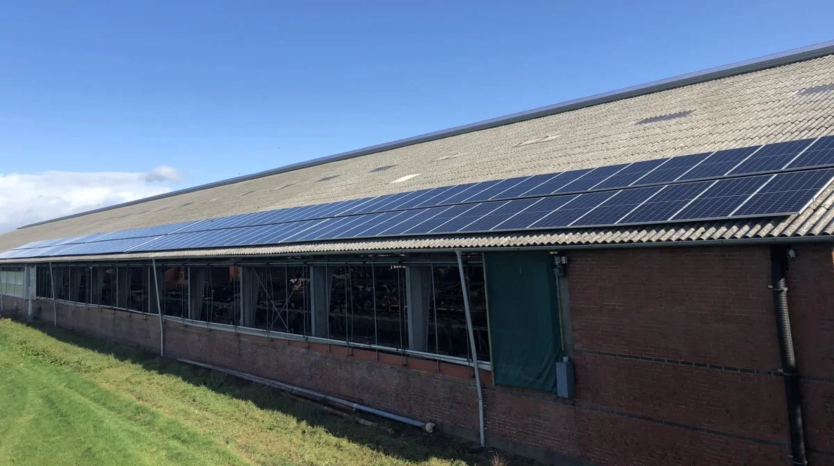 Staldbygninger er oplagte til solceller på taget. Her et eksempel på et af de solcelleprojekter, som JP Elservice har stået for. Privatfoto