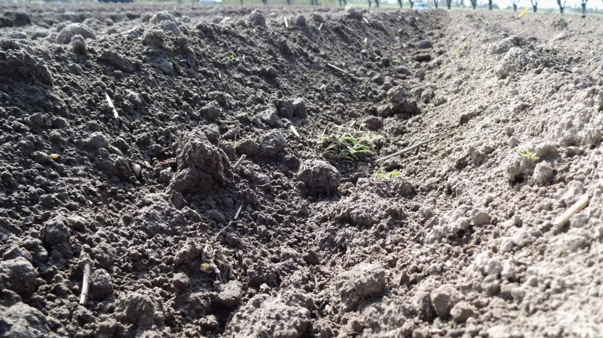 Vordingborg Kommune skal i gang med at tage 908 hektar lavbundsjord ud af drift, hvilket kaster over 100 millioner kroner i kompensation til lodsejere af sig. Arkivfoto