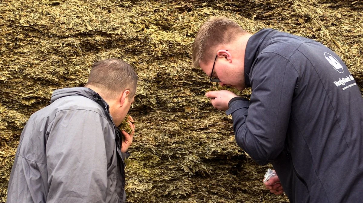 Tyler Turner (til venstre), kvægspecialist hos DSM i Nordeuropa, og Rasmus Wielandt (til højre), produktkonsulent ved Vestjyllands Andel, er på besøg hos Brian Jensen for blandt andet at lave mykotoksinanalyser af foderet.