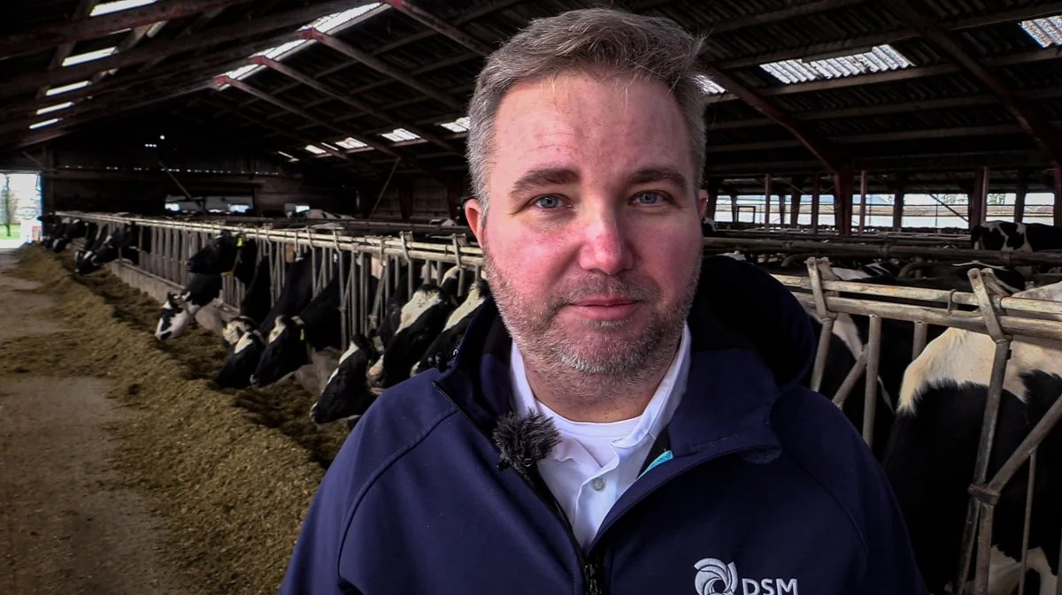 Simon Skaarup Jensen, performance solution sales manager ved DSM, forklarer, at Mycofix® er et gennemtestet og EU-godkendt produkt, der består af tre strategier, hvilket gør det særligt effektivt mod mykotoksiner.