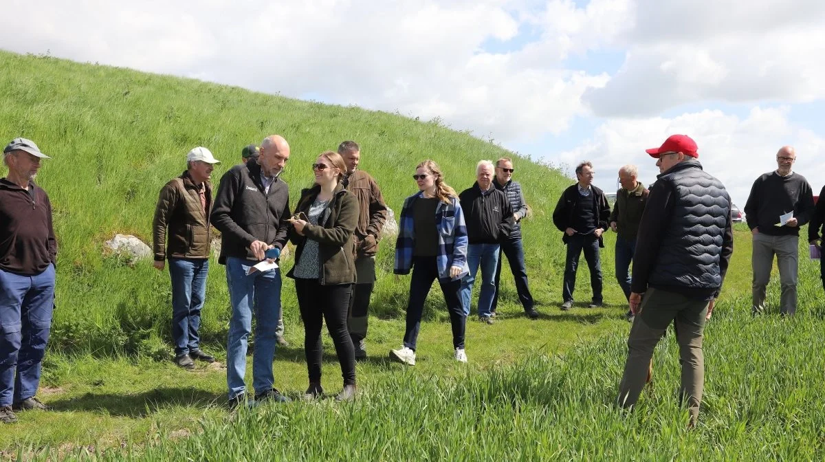 Sidste år var der næsten 300 landmænd til Åben Pløjefri Mark. Her ses arrangementet i Slagelse, hvor der var 80 deltagere. FRDK har på grund af den store interesse udvidet til otte steder fremfor fem steder sidste år. Foto: FRDK