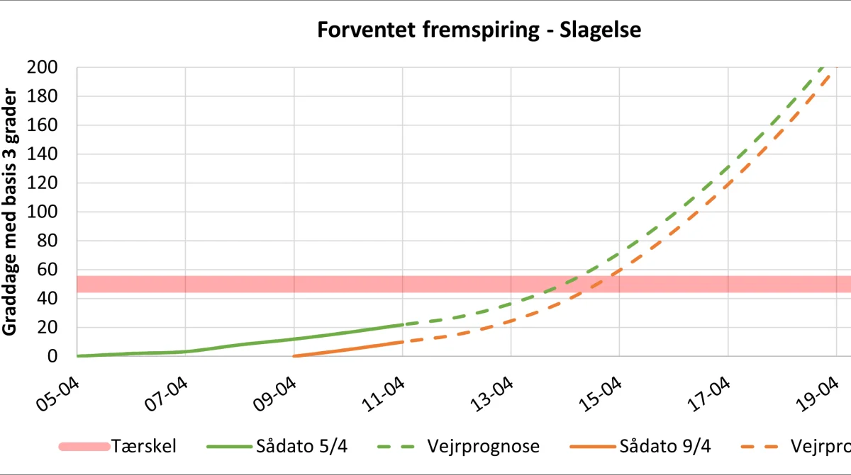 Forventet fremspiring af nysåede roer omkring Slagelse. Kilde: Agricenter, Nordic Sugar