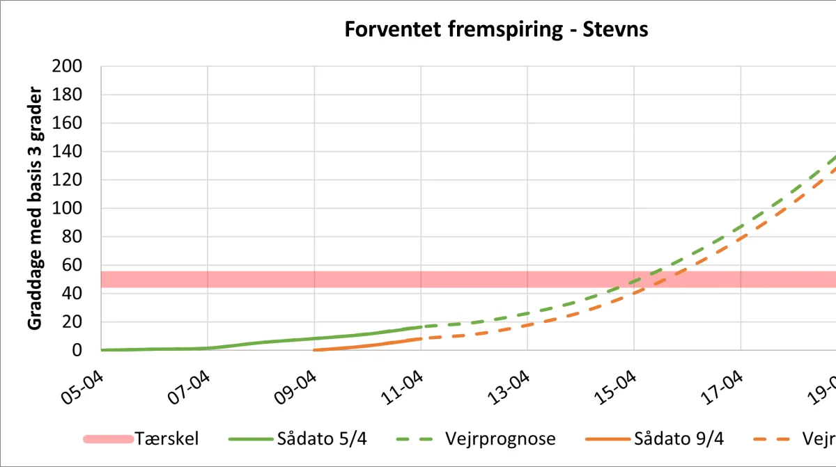 Roernes forventede fremspiring på Stevns. Kilde: Agricenter, Nordic Sugar