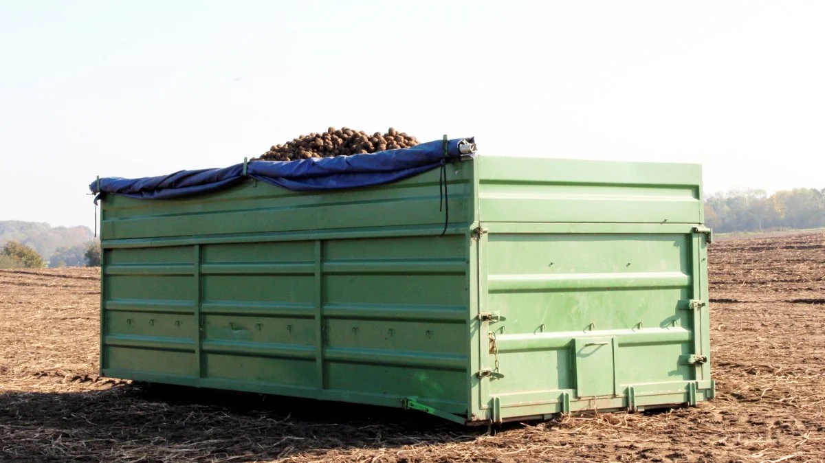 Under høst leveres dagligt 10 fyldte containere direkte til fabrikken.