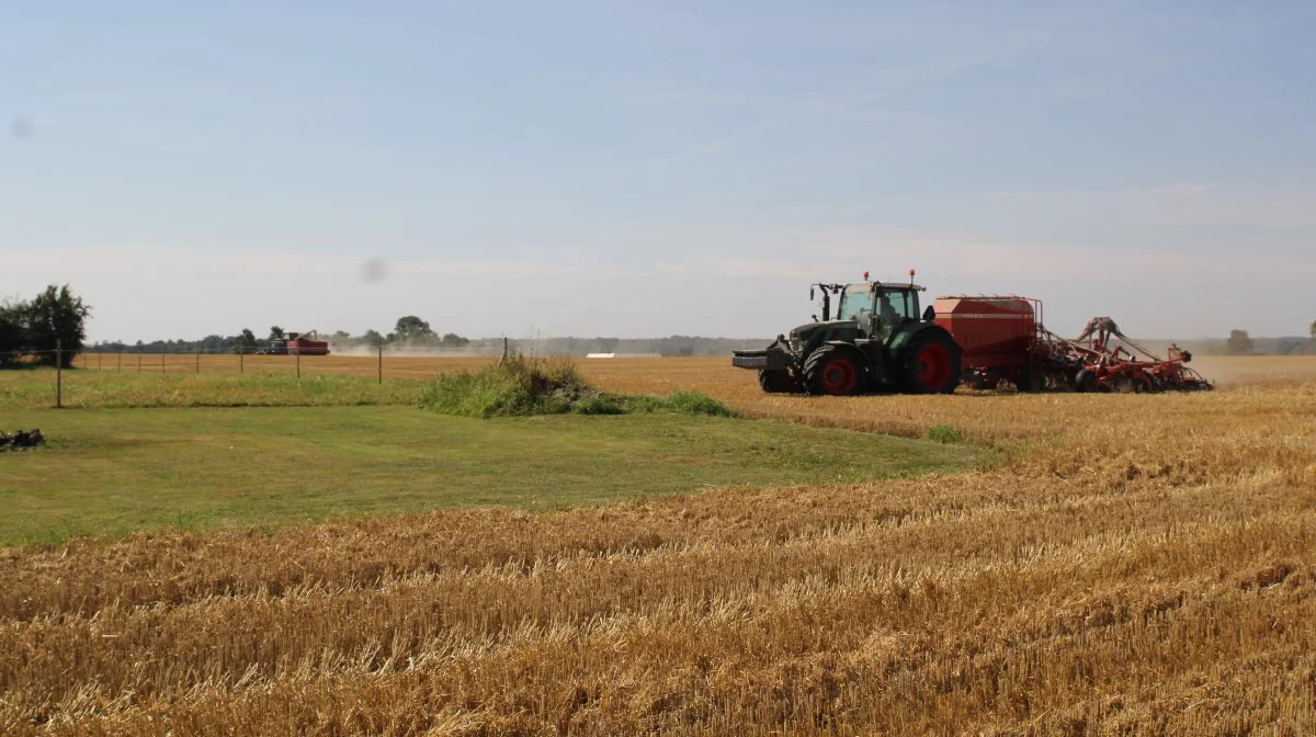 Bæredygtigt Landbrugs store gødnings- og vandplanssag, der var for Vestre Landsret lige før påske, angår blandt andet spørgsmålet om, hvorvidt de målrettede efterafgrøder er lovlige og gyldige. Arkivfoto