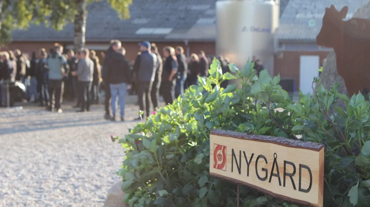 Sidste år lagde Grovfoderekskursionen vejen forbi Nygård ved Hobro. 