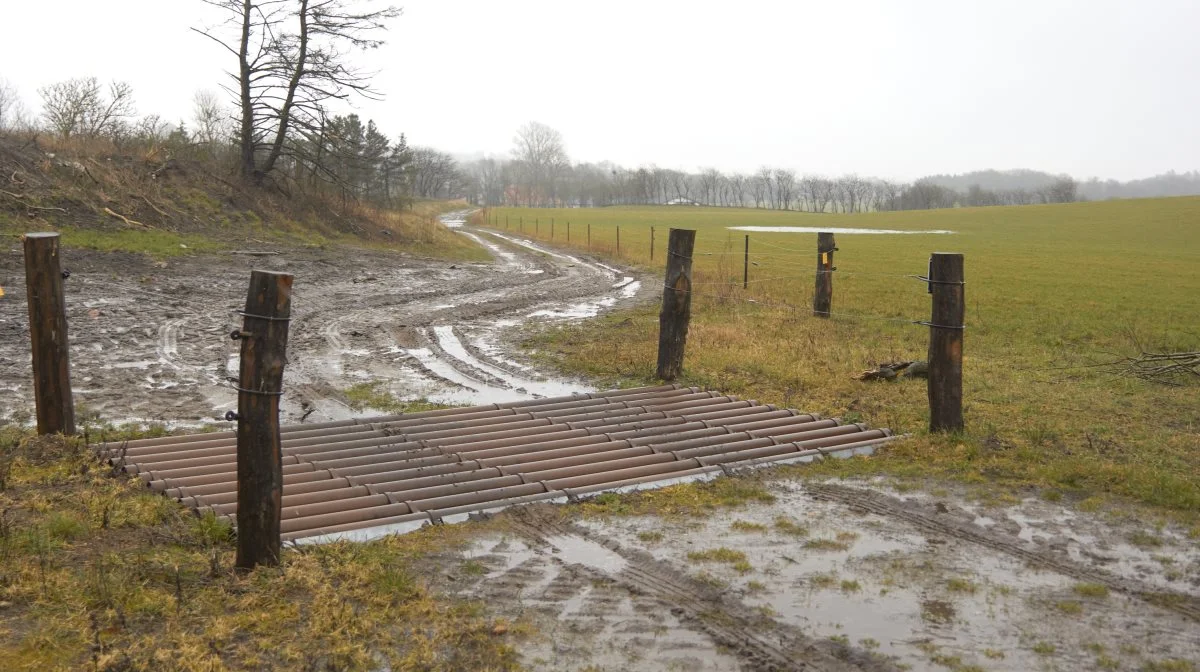 Den 1. januar 2021 overtog Den Danske Naturfond ejendomsretten over Jørgen Bechs arealer. Men sagen trak ud, og først to år senere modtog han sine penge.