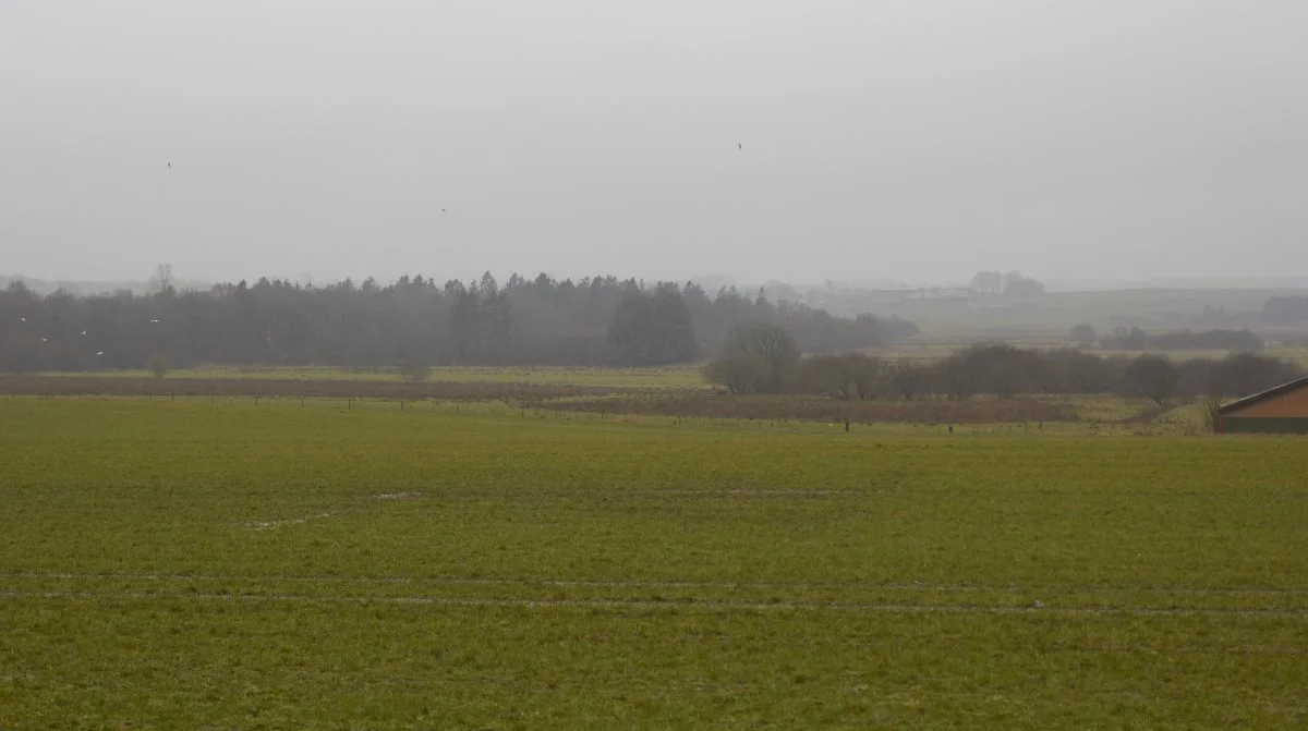 - Vi ville gerne have, at det havde gået hurtigere, men det har været ude af hænderne på os, da opgaven har ligget hos landbrugskonsulenten og landinspektøren, siger direktør Flemming Nielsen, Den Danske Naturfond.