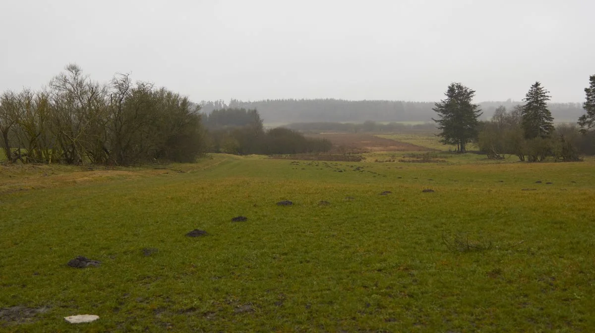 Den Danske Naturfond oplyser på sin hjemmeside, at de 75 hektar ved Villestrup Å kun er starten, og at visionen med tiden er at udvide naturområdet til 200-400 hektar. 