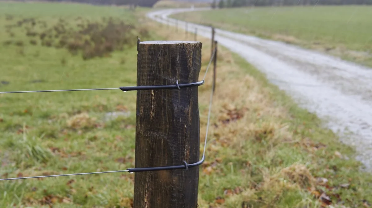 Set i bagklogskabens klare lys ville Agri Nord, som har stået for sagsbehandlingen, have ønsket, at de fire lodsejeres salg fra start var blevet behandlet hver for sig, så Jørgen Bech havde fået sine penge, så snart hans sag var blevet afsluttet, så var han ikke kommet til at vente to år på sine penge, men kun ganske få måneder.