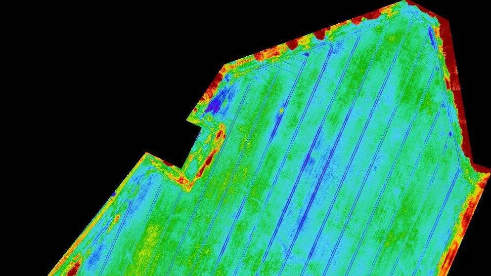 Ved hjælp af data fra droneoptagelser, der kan aflæses i et såkaldt Normalized Difference Red Edge Index, kan Geoteam kortlægge præcist, hvor på marken biomassen er størst.