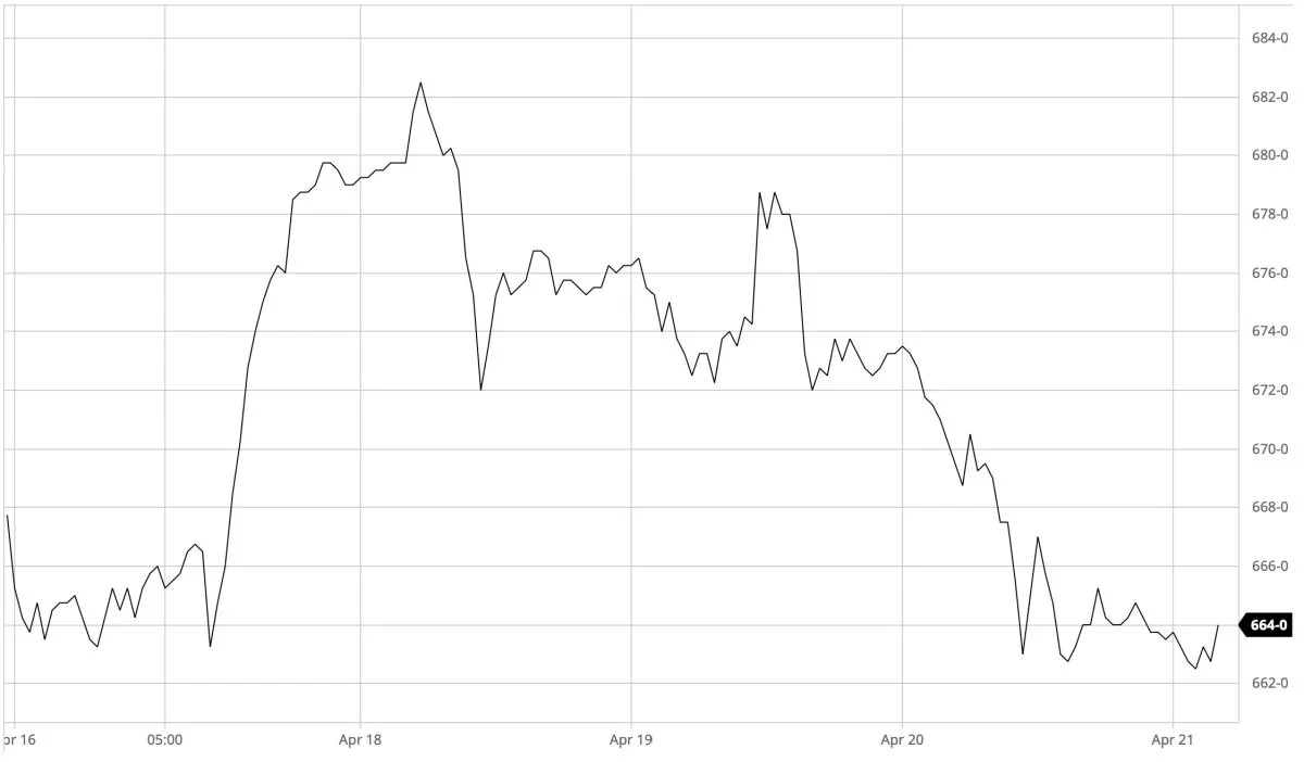 Ugegraf: CBOT Majs i US-cent pr. bushel. Prisen for majs på den ledende afgrødebørs i Chicago har sat sig en del hen over de seneste dage. Det skyldes, blandt andet, at efterspørgslen efter majs på eksportmarkedet skuffer.