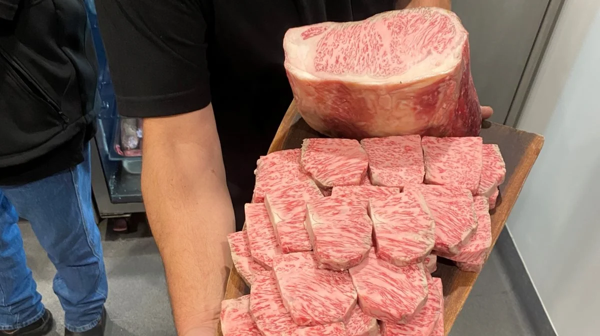 Den internationale skala for kvaliteten af wagyu-kød går fra 0-9, hvor 9 angiver den højeste intermuskulære fedtmarmorering i kødet. 
- Vores slagtedyr kom ud med 12,5 og altså langt over det maksimale på skalaen – og blev derfor noteret som 9+, fortæller Sebastian Christensen.