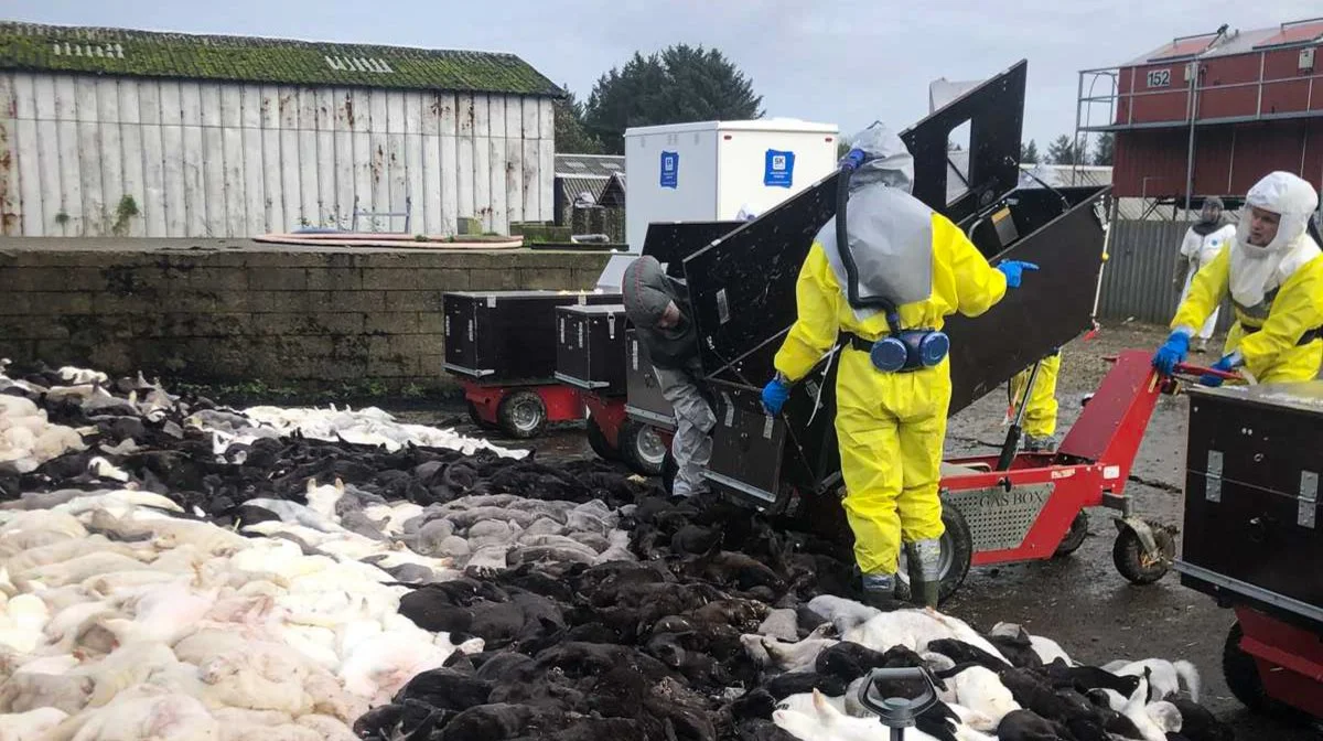 Fødevareministeriet afviser ifølge Jyllands-Posten at begrunde annulleringen af Drostbys advarsel. Arkivfoto: Brian Langballe Kristiansen