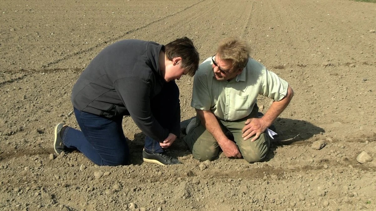 Tæt kontakt til roedyrkere er en mærkesag for de fleste frøfirmaer. I KWS Beet Seed Service er op til to markbesøg i dyrkningssæsonen en del af den generelle service, som frøprisen inkluderer. Foto: Agrofoto