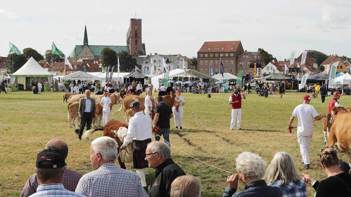 Ribe Dyrskue kan rekordtidligt melde om alt udsolgt til erhvervsudstillingen. Inden længe åbnes der for tilmelding af dyr, som man håber der igen i år kommer rigtig mange af. Foto: Ribe Dyrskue