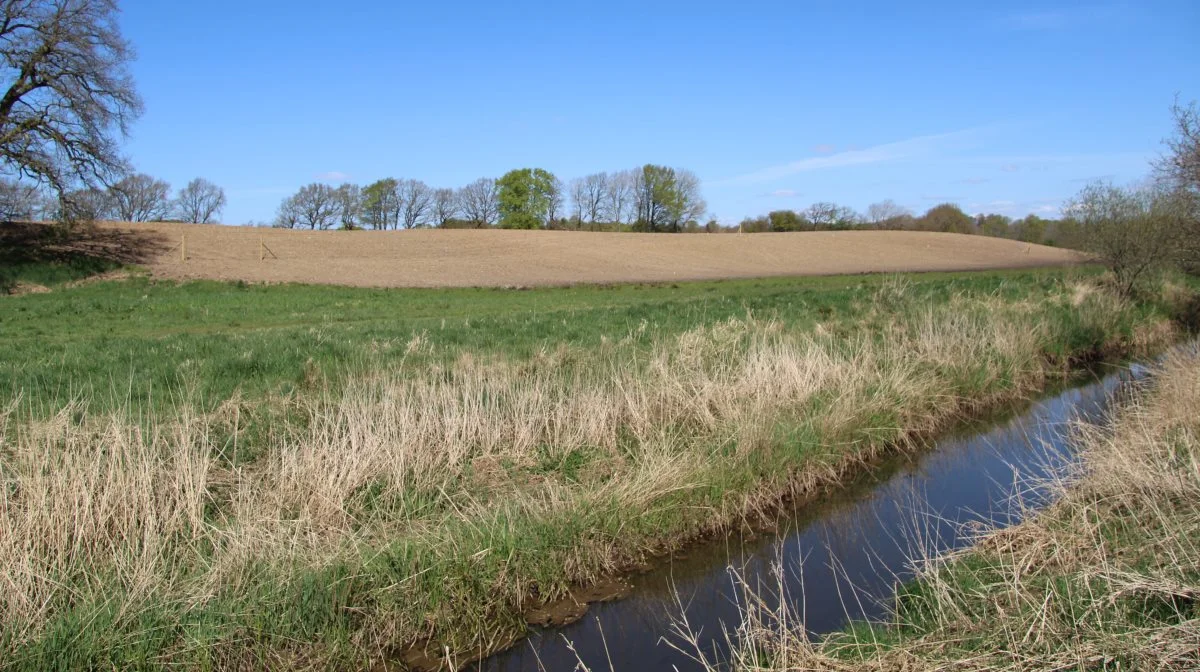 Lodsejere afslår at deltage i et naturprojekt i Næstved Kommune, før kommunen får styr på spildevandstilladelserne. Vandløbet her har ikke noget med sagen at gøre. Arkivfoto: Morten Ipsen