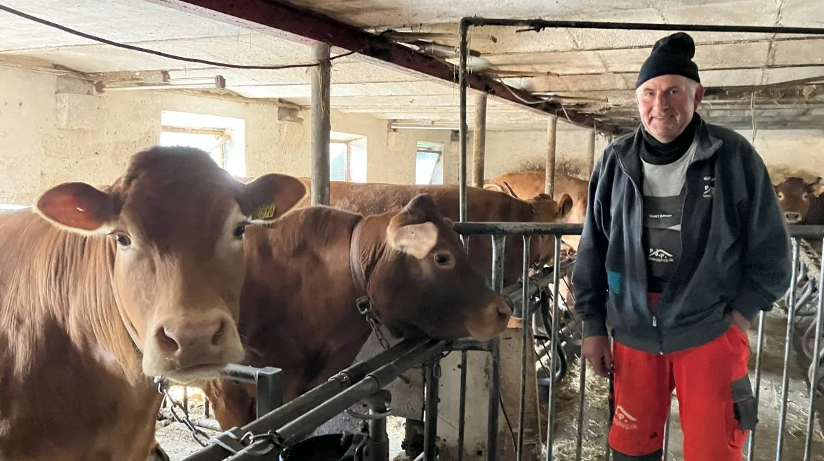 66-årige Kurt Ejnar Larsen, Nr. Nebel, har oplevet effekt efter at have prøvet kosttilskudsprodukterne fra Sundhedsshoppen.