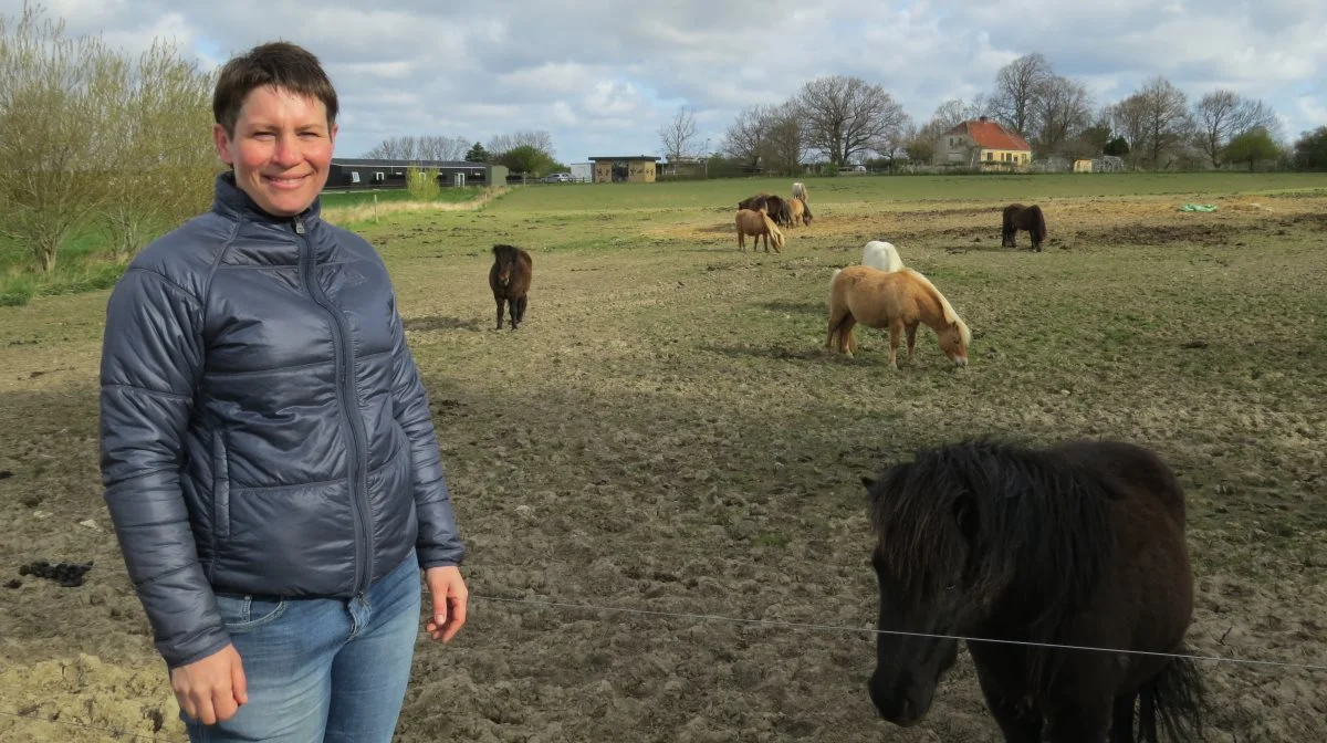Pernille Sandø har 30 heste. Interessen for heste fik hun fra sin nu afdøde morfar, der i sin tid udstillede haflinger-heste på Roskilde Dyrskue. Foto: Erik Kjærgaard Christensen