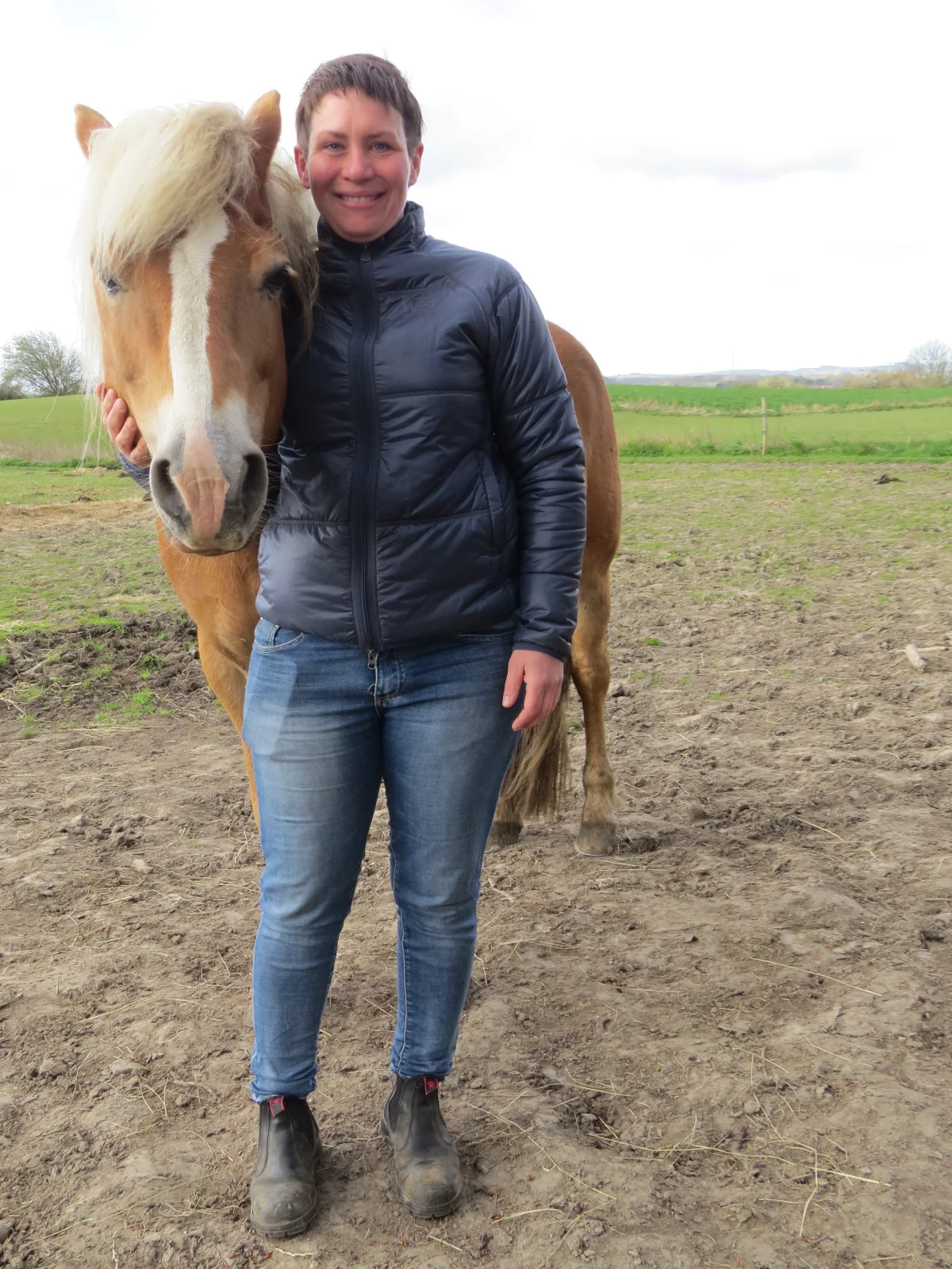 Selvom Pernille Sandø arbejder med avl af shetlandsponyer, har hun også haflingerhingsten Skelgaardens Aslan i sin besætning. Sammen med shetlandsponyhoppen Sandøs Joyce udstiller hun i år denne hingst på Roskilde Dyrskue. Foto: Erik Kjærgaard Christensen