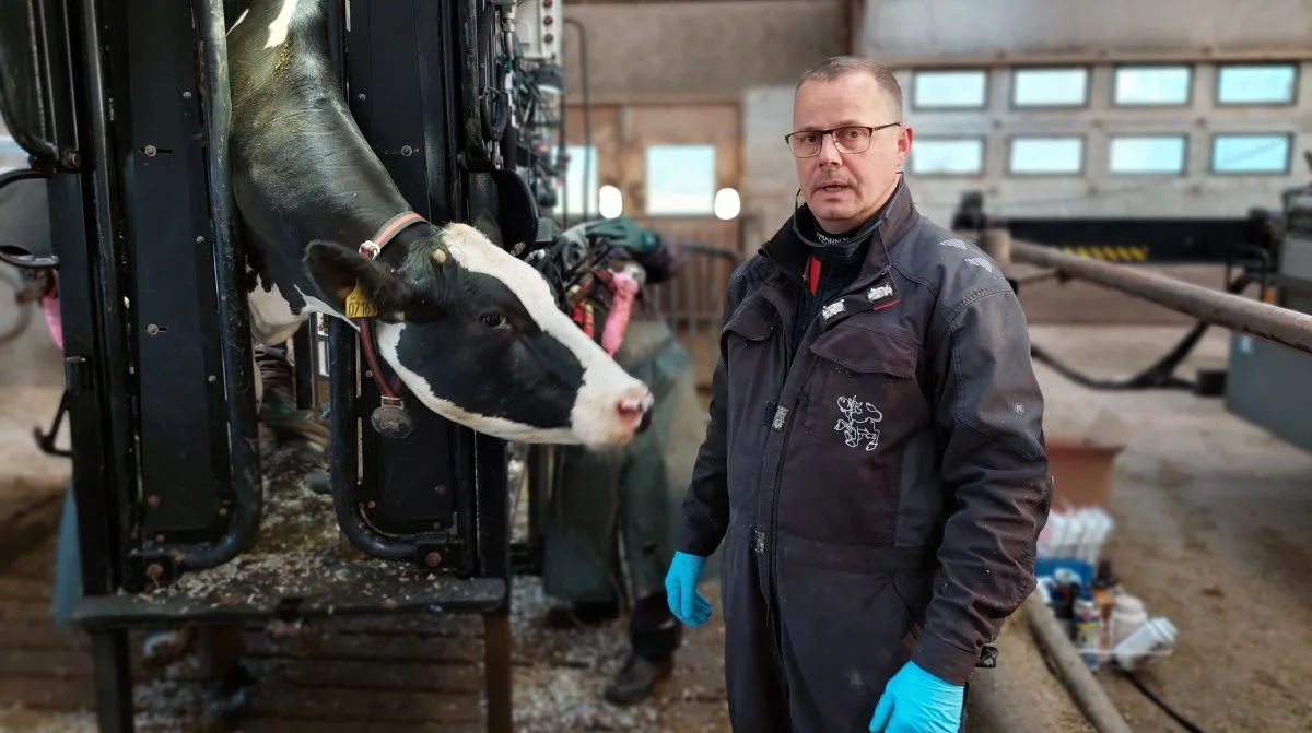 For 22 år siden skiftede Troels Neimann fra tømrer til klovbeskærer. Det har ikke fortrudt. Fotos: Christian Carus