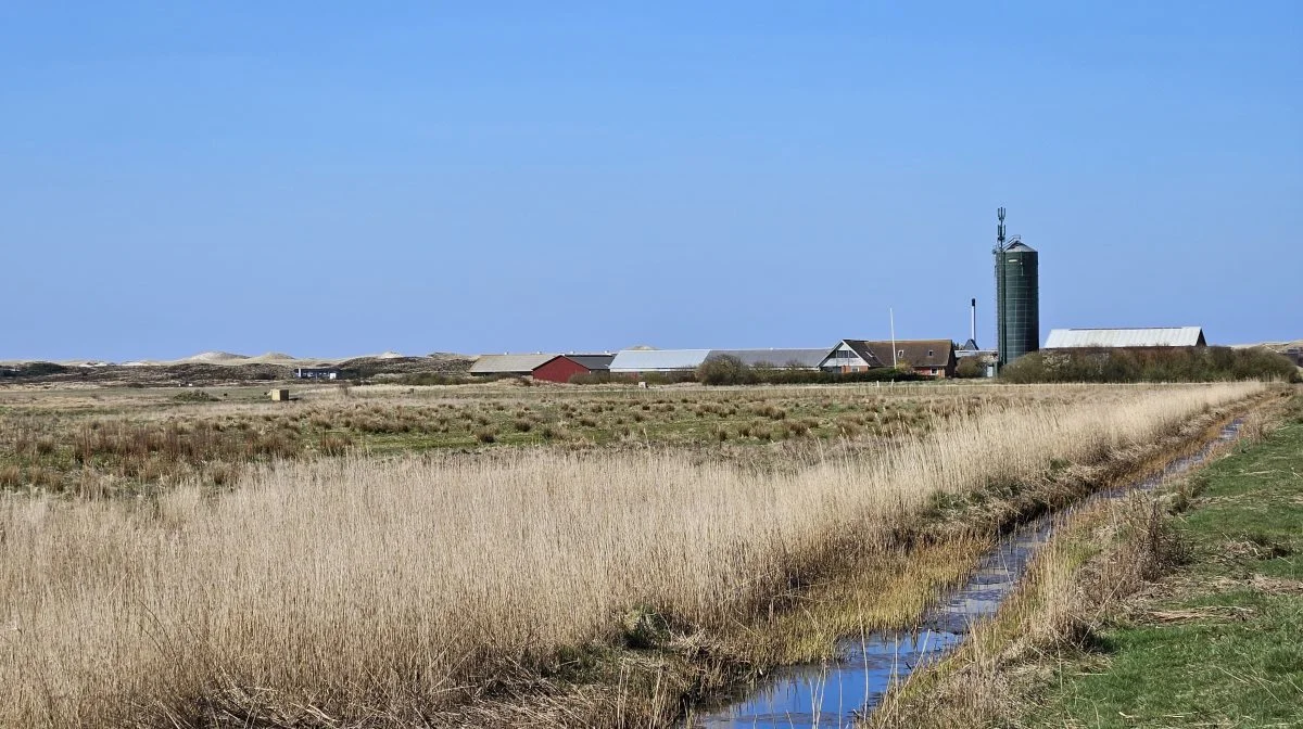 Landbrugsejendommen set fra øst.
