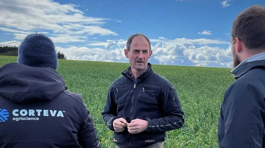 Michael Levy (i midten) forsøger at trække den sidste gødskning i raps så længe som muligt. Der bliver ikke anvendt husdyrgødning på Kalsbøl Gods. Foto: Kasper Stougård 