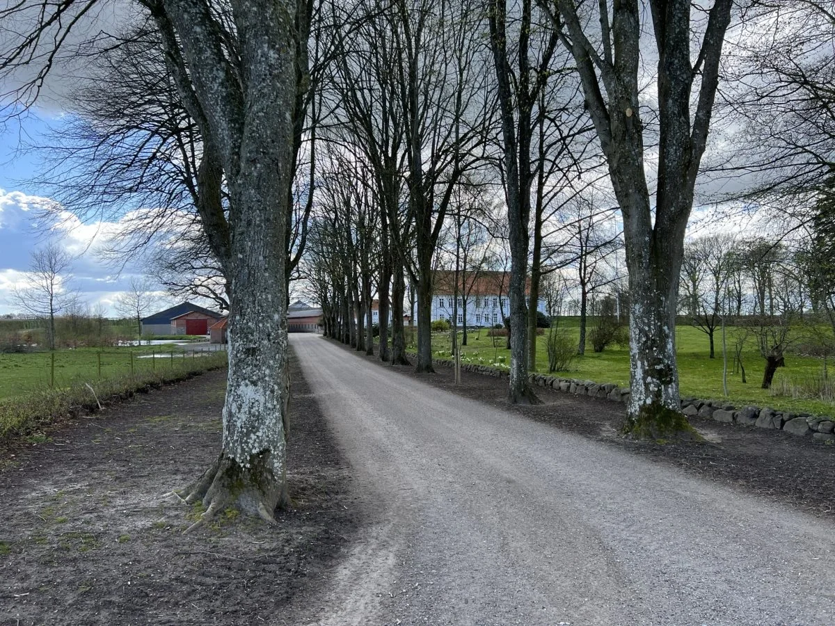 Kalsbøl Gods kan spores tilbage til 1500-tallet og driver i dag cirka 850 hektar. Foto: Kasper Stougård  