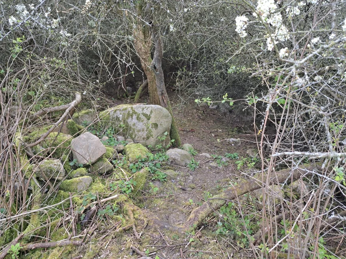 Grævlingen har sit hul lige her i hegnet, der grænser op mod naboen.
Foto: Louis Andreas Michaelsen