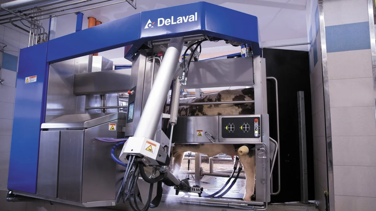 DeLaval har automatiske malkerobotter som et af sine store specialer. Foto: DeLaval