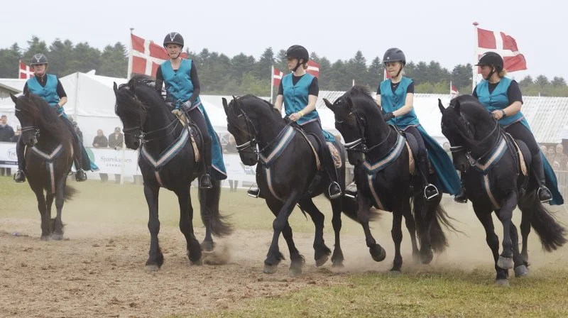 Igen i år vil Friesen Nord give opvisning både fredag og lørdag. Arkivfoto: Tenna Bang