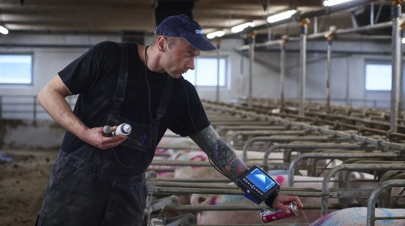 Martin Thorgaard, driftsleder for bedriften Spøttrup med to sohold, prioriterer overlevelse højest, og det kan ses igennem hele produktionen.