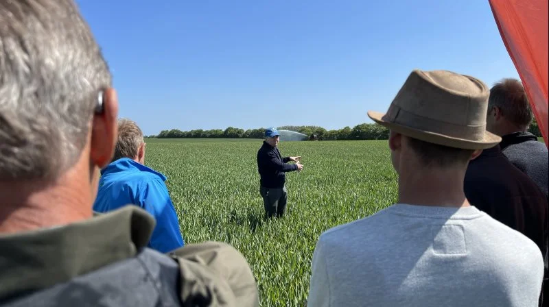 Christian Christensen fra Bayer konstaterer, at der kan findes hvedebladplet i marken trods det tørre vejr. Derfor er anbefalingen at fortsætte beskyttelsen af planten.