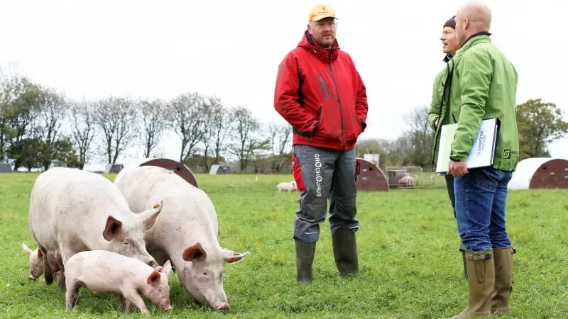 Danskerne efterspørger økologi som aldrig før, og indenfor en række produktionsgrene er der fortsat akut behov for flere producenter af økologiske råvarer, lyder det fra Økologisk Landsforening.