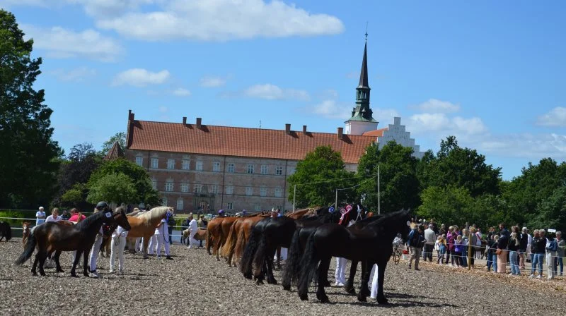 Lørdag den 15. juli er der igen hesteskue på Brahetrolleborg. Arkivfoto: Camilla Bønløkke