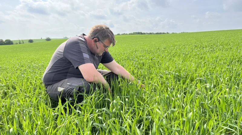 Carl Johan Schultz vurderer, om der skal sprøjtes mod lus i vårbyggen, når han alligevel skal afsted med Propulse og Comet Pro. Foto: Kasper Stougård