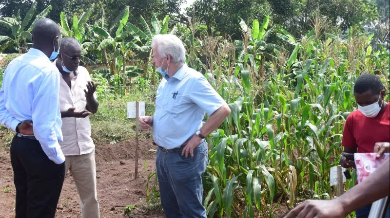 Jørgen Løgstrup og Abdul Abdul, der her er i demohaven i Kwanda Uganda, forklarer om de mange dyrkningsfordele ved anvendelse af biogødning. Fotos: Bacess