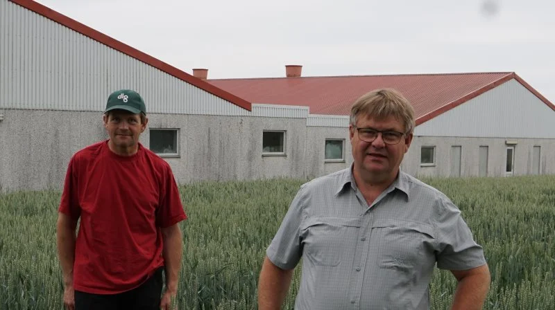 - Vi er formentlig det første sted, der har fået den grønne farve (på PRRS-kortet, red) - helt fri for PRRS. Sådan burde det i hvert fald være, for har nemlig aldrig været PRRS på øen, fortæller Henrik Øster, der er formand for Samsø Landboforening, og som har full-line produktion sammen med sin bror Jørgen Øster. Foto: Anne Wolfenberg