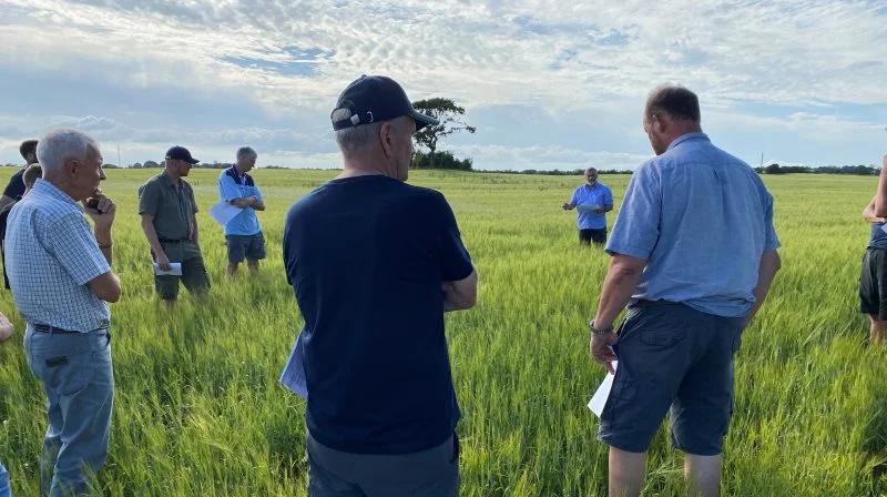 Økologisk planteavlskonsulent Jan Røge Lund, LandboNord, berettede om vikkens egenskaber i en byg/vikke-mark og Carsten Sørensen bidrog med bedriftens erfaringer i både marken og i fodringen. Fotos: LandboNord
