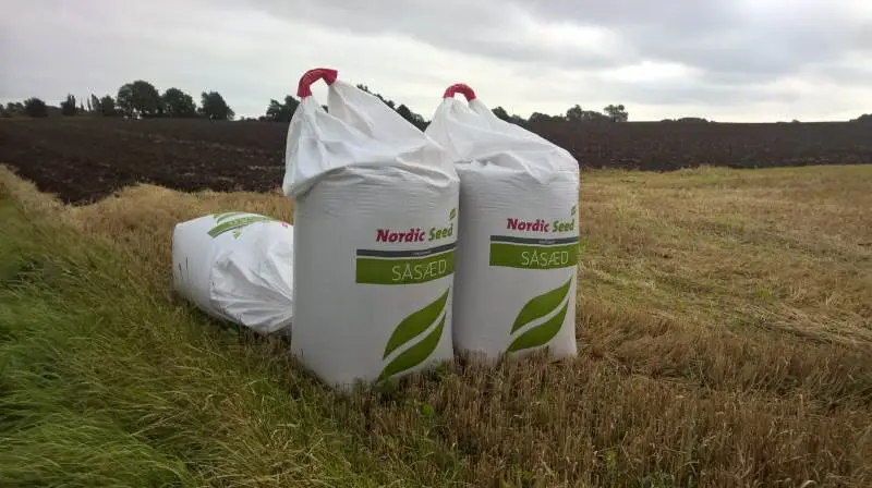 Nordic Seed har købt forædlingsstationen i Dyngby ved Odder og 20 hektar jord. Arkivfoto