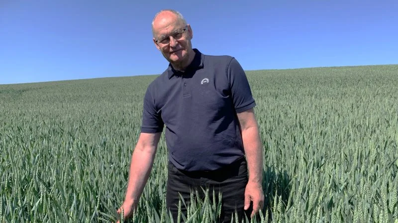 Poul Møller, Hornsyld Købmandsgaard, syner hvert år omkring 400 - 500 hektar korn, og det er en opgave, han holder af som afveksling fra arbejdet ved skrivebordet.