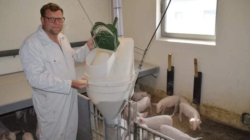 Kim Kofoed, griserådgiver i VKST og specialist i foderrådgivning, forklarer, at man uden en kornanalyse nu her efter høst kommer til at fodre i blinde.